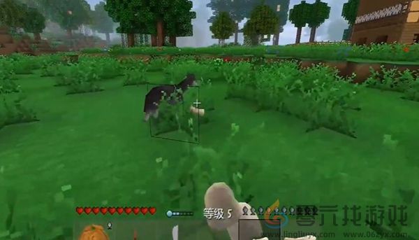 生存战争2怎么驯服狼(图2)